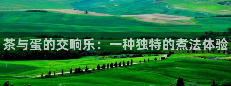 彩名堂计划app新版