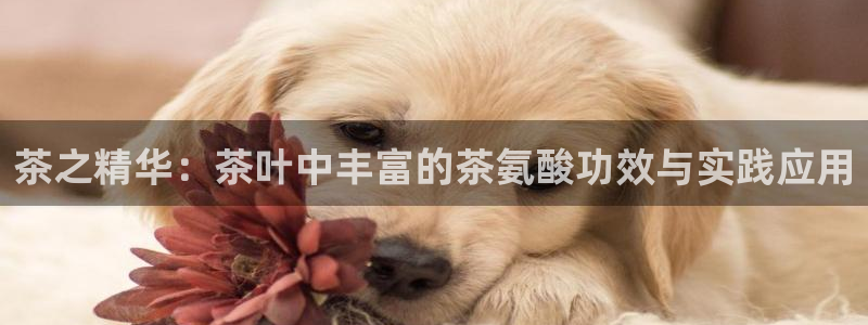 彩名堂安卓客户端官网下载