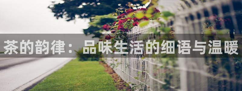 彩名堂一直不出结果怎么回事呢