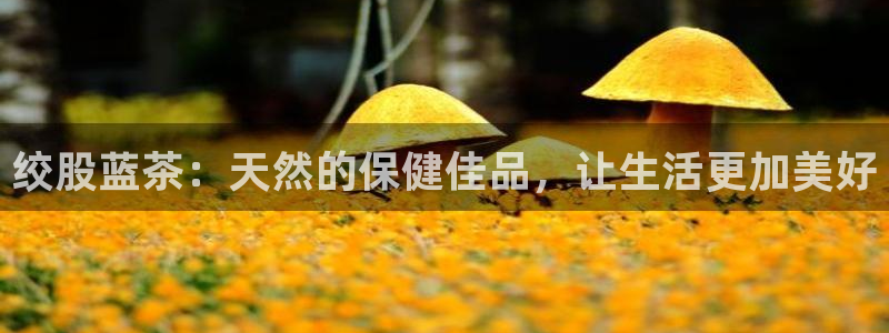 彩名堂免费计划官网50下载957