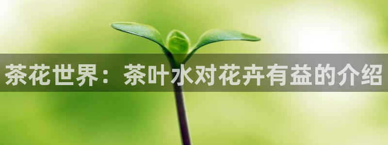 彩名堂客户端是永久免费吗