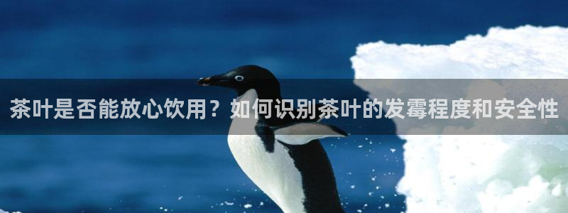彩名堂预测免费计划怎么看的