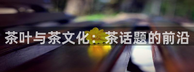 彩名堂加拿大怎么买准确率高