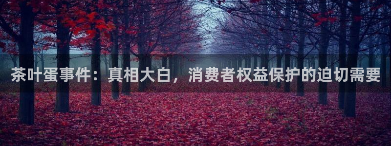 彩名堂官网2