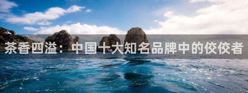 彩名堂首页