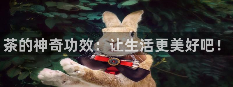彩名堂客户端是永久免费吗安全吗是真的吗