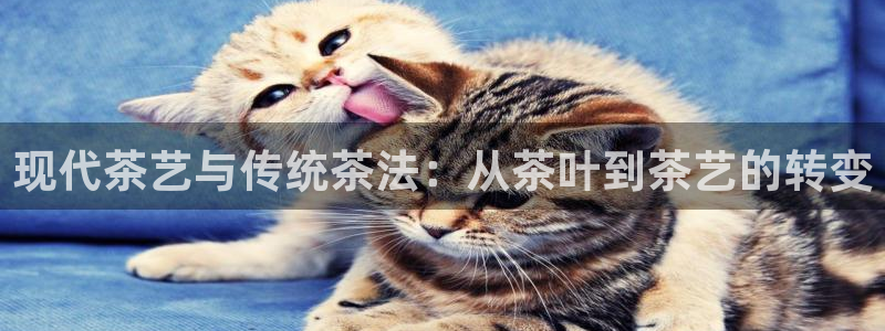 彩名堂APP下载