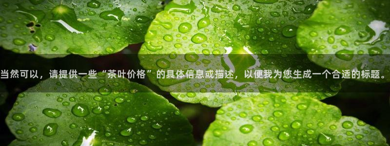 彩名堂5.0计划
