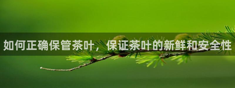 彩名堂预测官网