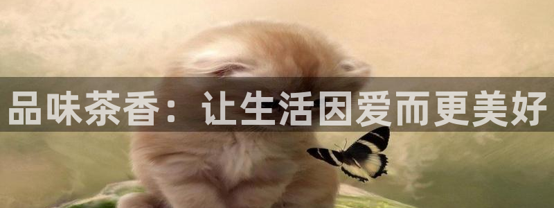 彩名堂是不是坑人的东西