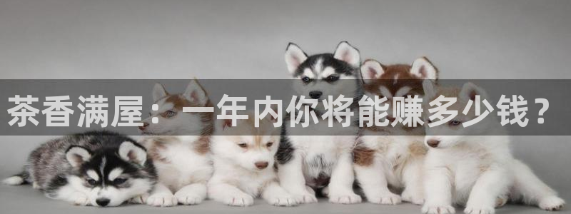 彩名堂拼音怎么拼