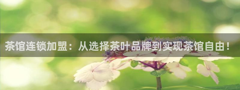 彩名堂合作655560