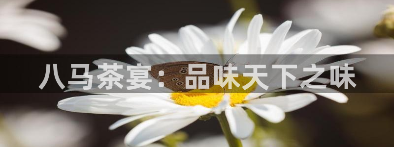 彩名堂一直不出结果怎么回事呢