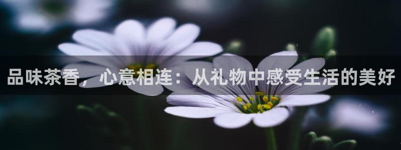 正规彩名堂官网计划01