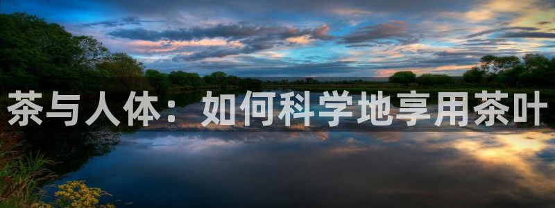下载彩名堂预测计划软件安卓