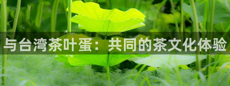 彩名堂是不是坑人的东西