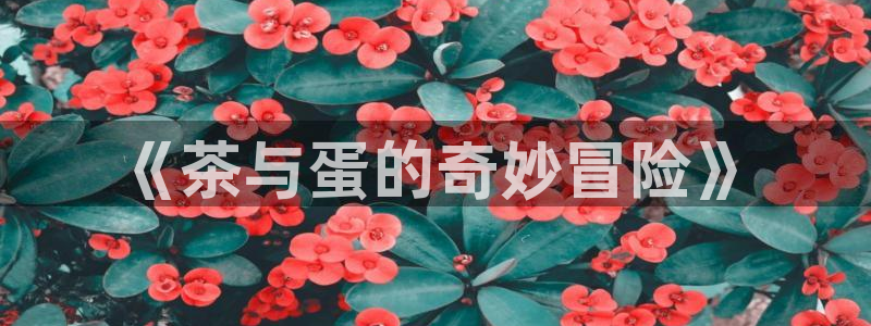 彩名堂官网谁有
