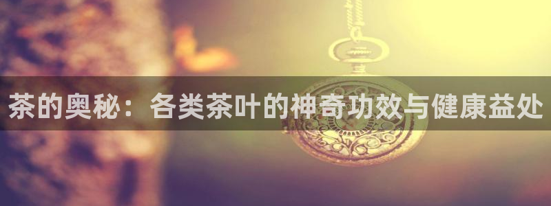 彩名堂手机客户端怎么进不去了