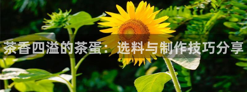 彩名堂彩