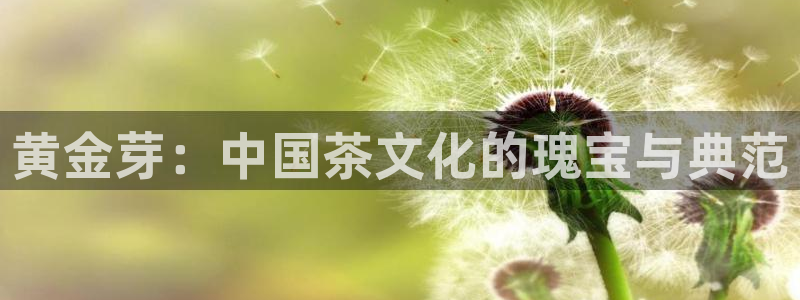 彩名堂免费计划下载