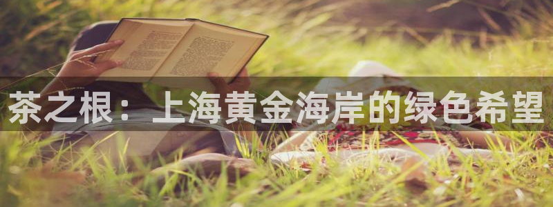 彩名堂官方下载地址