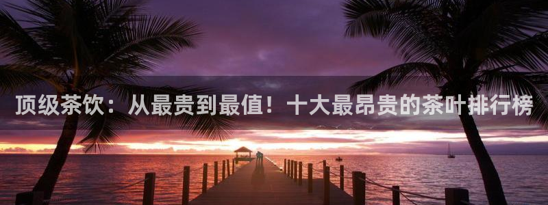 彩名堂预测计划