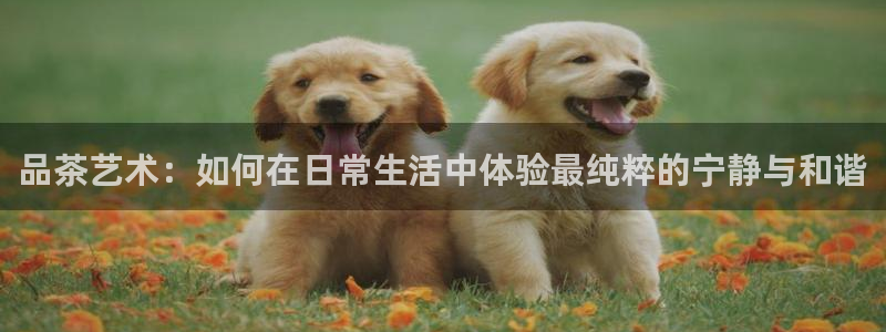 彩名堂双彩网