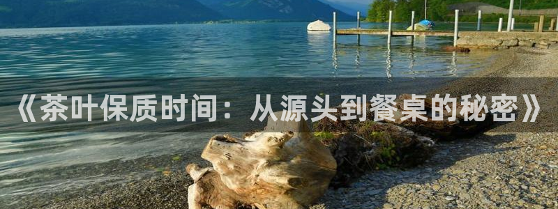 彩名堂怎么样