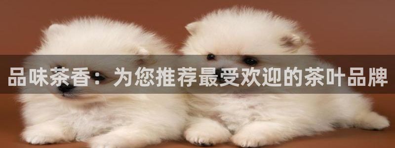 彩名堂计划真的准吗