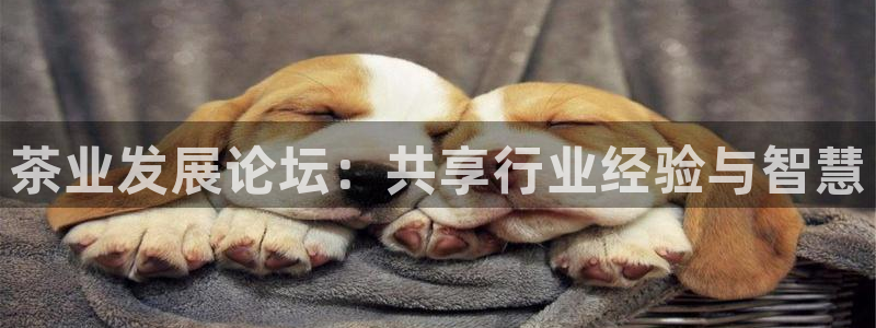 彩名堂计划怎么跟,为什么我一跟就挂