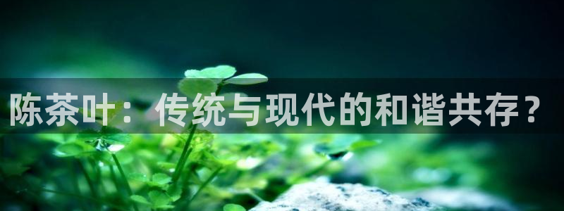 彩名堂苹果客户端怎么下载