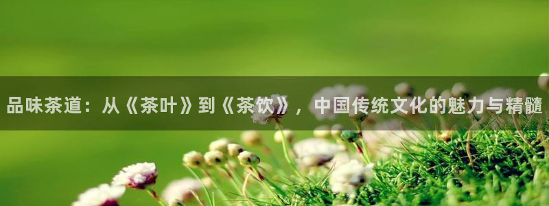 彩名堂计划官网客户端