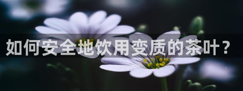 下载苹果手机版彩名堂