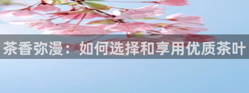 彩名堂最新计划app下载
