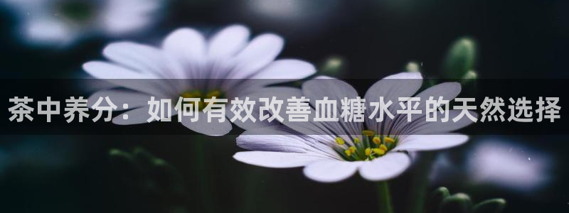 彩名堂到底怎么看,一跟就挂