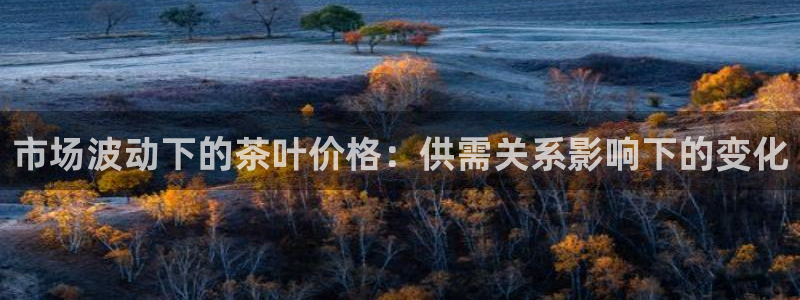 彩名堂改成什么名字了