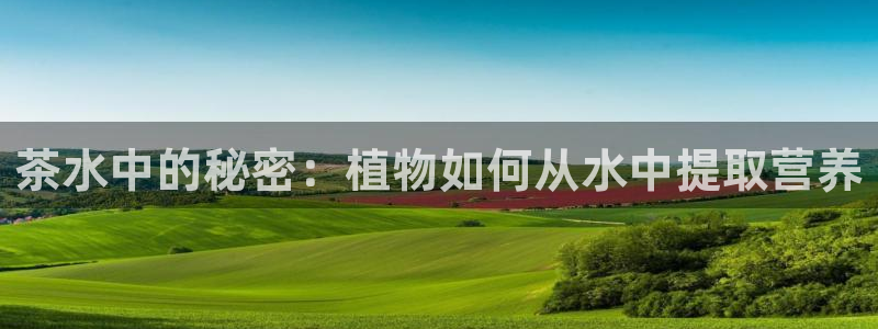 彩名堂手机客户端