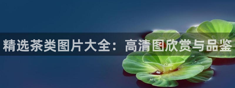彩名堂彩