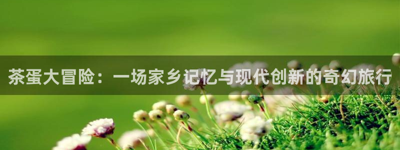 彩名堂预测软件