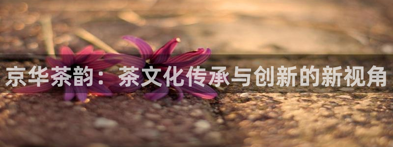 彩名堂计划官网客户端