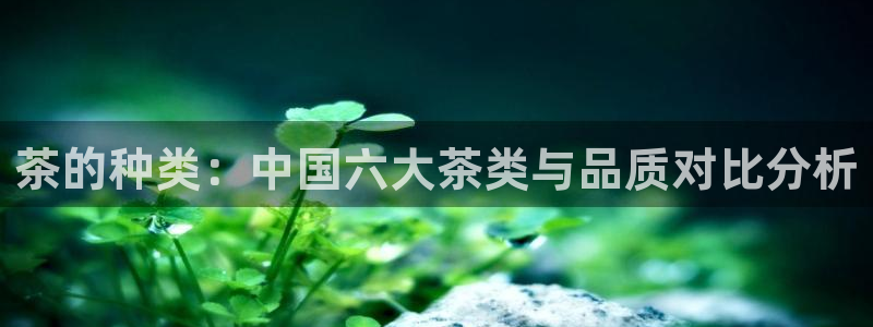 彩名堂预测免费计划app-彩名堂预测免费