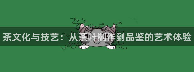 彩名堂免费计划使用方法是什么