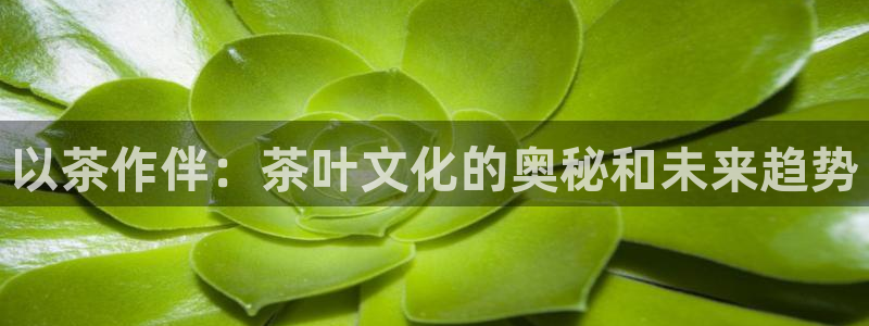 彩名堂5.0!