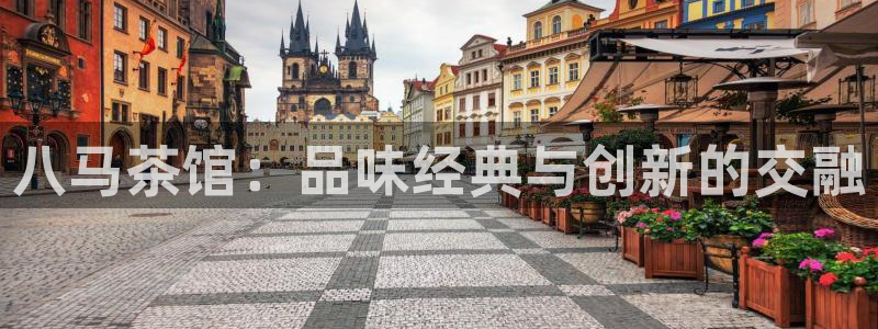彩名堂彩