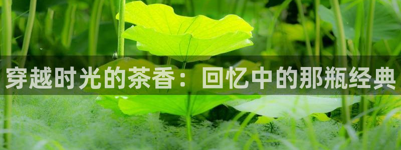 彩名堂01计划