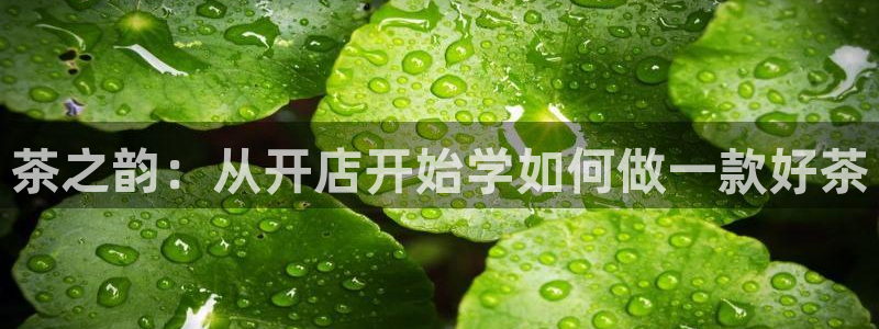 彩名堂怎么选稳定计划