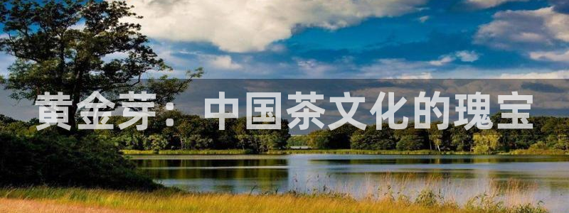 彩名堂最新计划app下载