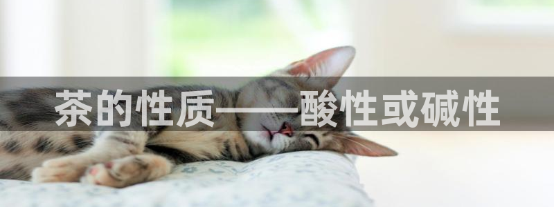 彩名堂最新版www