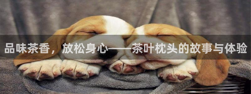 彩名堂安卓客户端官网下载