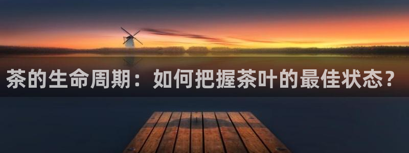 彩名堂.netnet